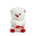 11222.webp