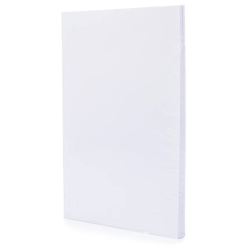 Cartulina Oficio blanco 100hjs