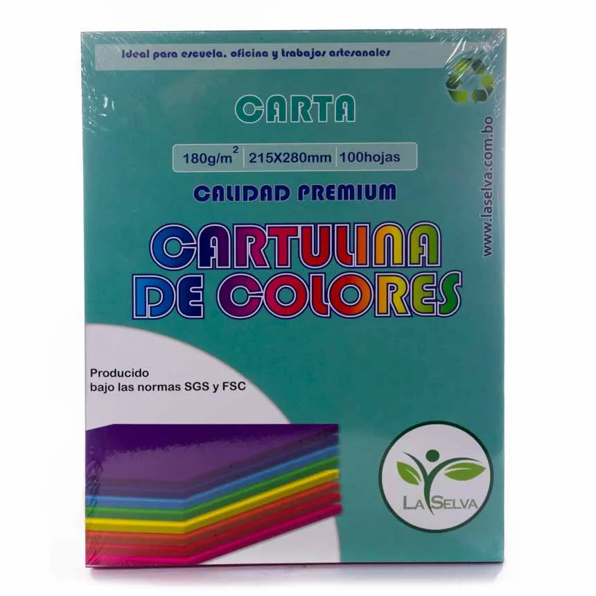 Cartulina de 10 colores intensos Carta La Selva de 100h