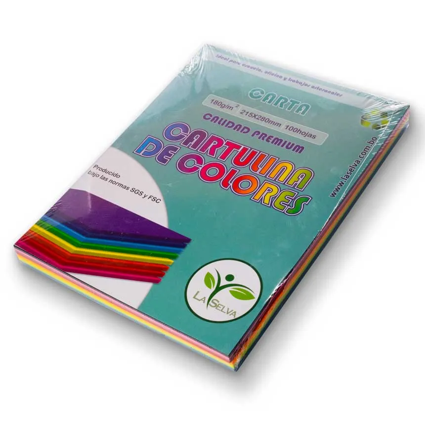 Cartulina de 10 colores intensos Oficio La Selva de 100h
