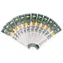 Regla Transparente La Selva 20 cm