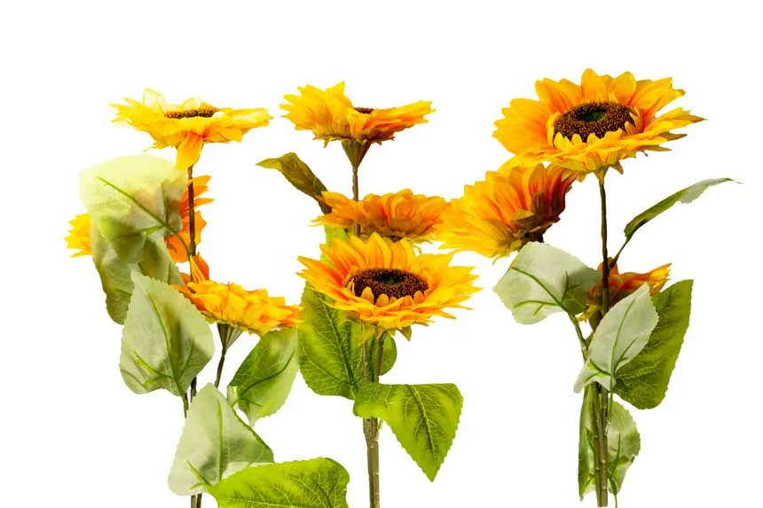 Flor (0227-3) - ramo de 3 girasoles, largo 95 cm, 1 corola 17 cm y 2 corolas de 15cm