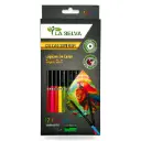 Color largo redondo mina 4mm SUPER SOFT madera negra La Selva de 12 colores + tajador