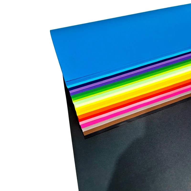 Bon resma 20 colores intensos 67x87cm 200 hojas La Selva