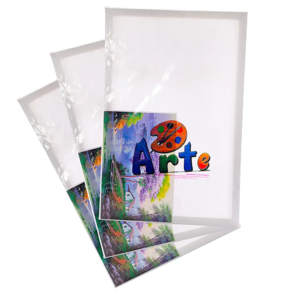 Lienzo Arte 50x70 BLANCO