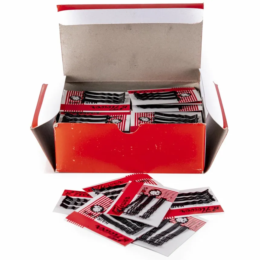 Orquilla Sujetador de Cabello 72u