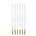 Paquete de Pincel delineador #00 6pcs