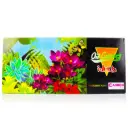 Pintura al oleo Caiwen 12u