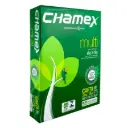 Bon Chamex Carta 75gr 500hjs