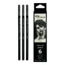 Lapiz de carbon (LIGERO-MEDIO-OSCURO) La Selva cajita de 6pcs